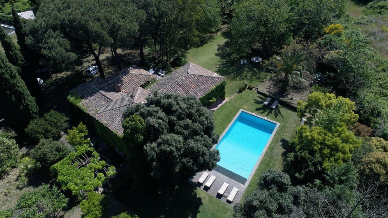 Villa Edera Виагранде Екстериор снимка